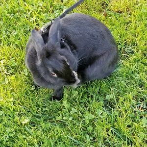 Meet your Posher, Fung